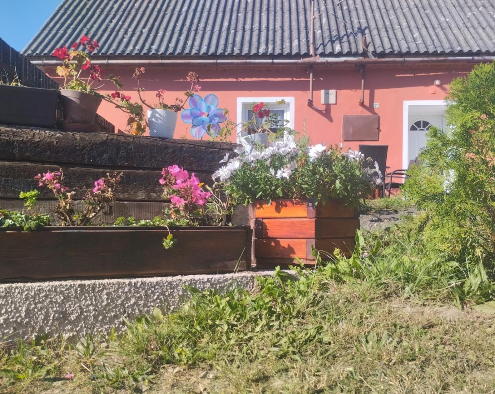 Ubytovani U Machalu Villa Leskovec Nad Moravici Exteriör bild